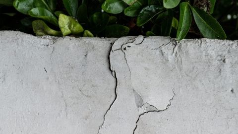 Rénovation de muret extérieur, murs de clôture